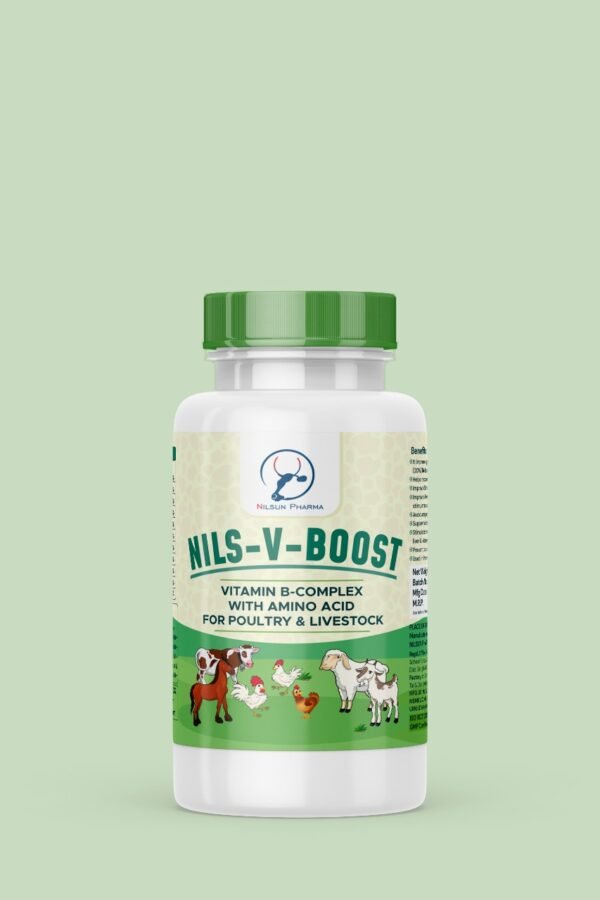 NILS-V-BOOST